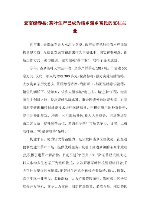 云南绿春县-茶叶生产已成为该乡强乡富民的支柱主业
