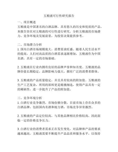 五粮液可行性研究报告