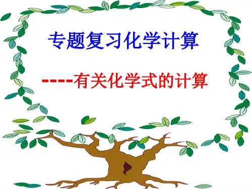 2020-2021学年人教版化学专题复习：化学计算 课件