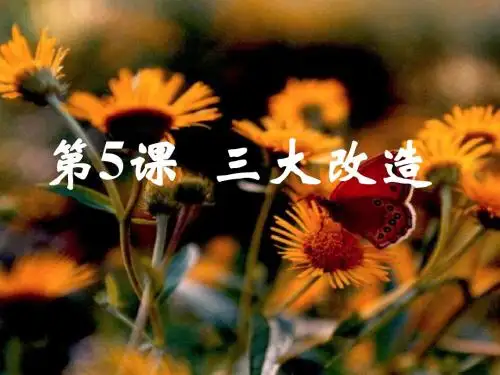 三大改造