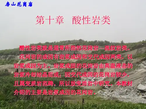 《岩浆岩石学》酸性岩类