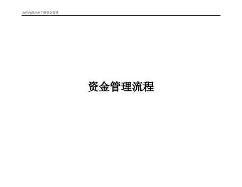 内部控制手册_资金管理