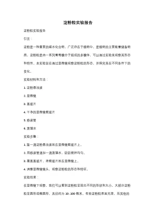 淀粉粒实验报告