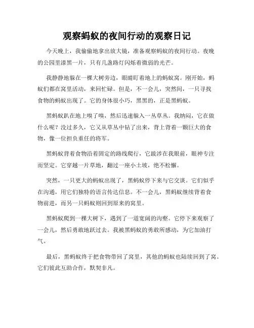 小学三年级作文观察蚂蚁的夜间行动的观察日记