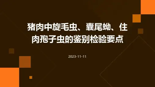 猪肉中旋毛虫、囊尾蚴、住肉孢子虫的鉴别检验要点