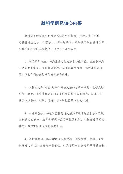 脑科学研究核心内容