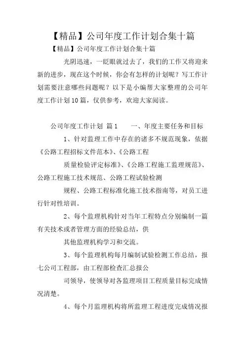 【精品】公司年度工作计划合集十篇