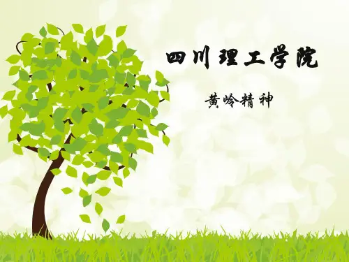 四川理工学院黄岭精神
