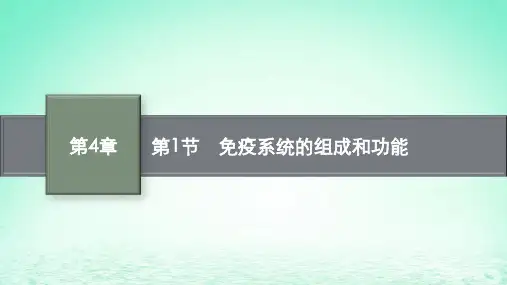 2023新教材高中生物第4章免疫调节第1节免疫系统的组成和功能课件新人教版选择性必修1