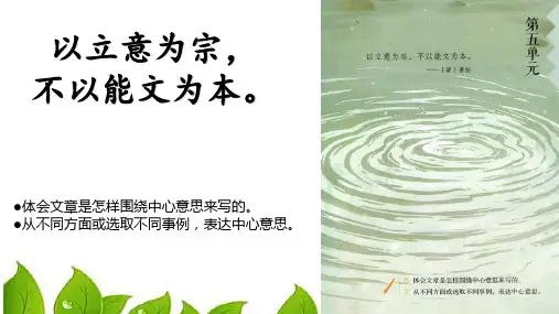 16《夏天里的成长》课件(共15张PPT).ppt