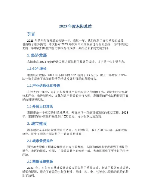2023年度东阳总结