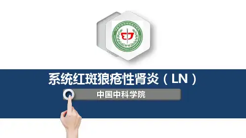 系统红斑狼疮性肾炎(LN)---PPT精品课件