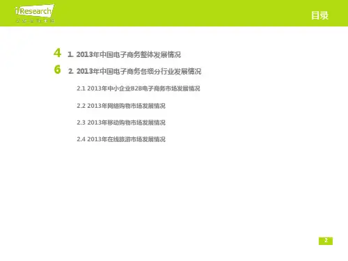 2013年中国电子商务年度数据