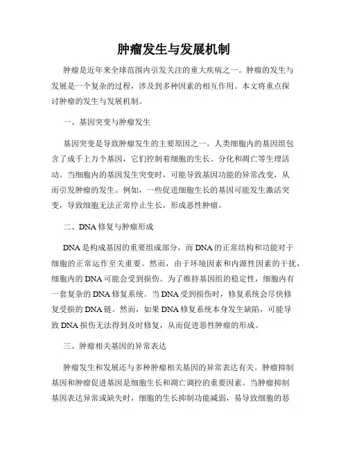 肿瘤发生与发展机制