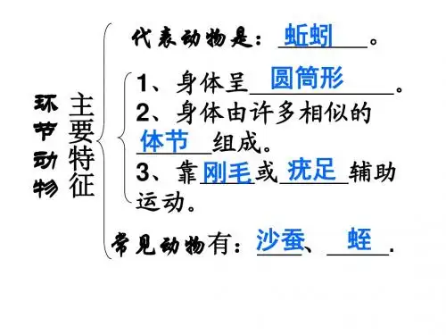 软体动物和节肢动物