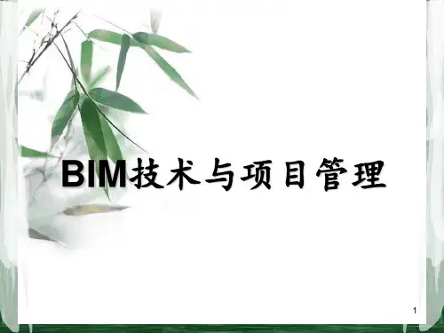 BIM技术与项目管理 ppt课件