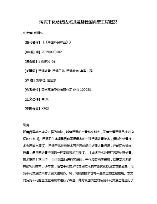 污泥干化焚烧技术进展及我国典型工程概况