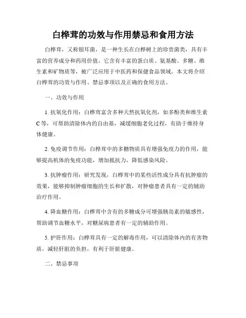 白桦茸的功效与作用禁忌和食用方法