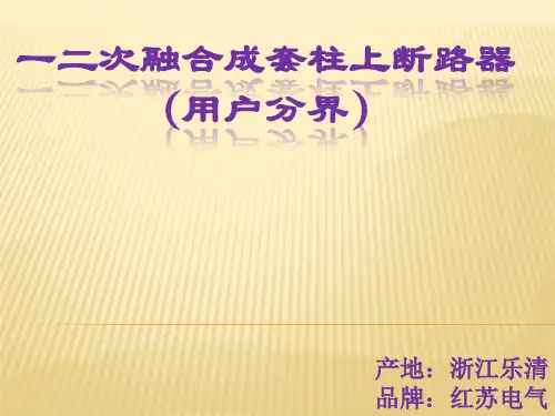 红苏电气投标红申集团