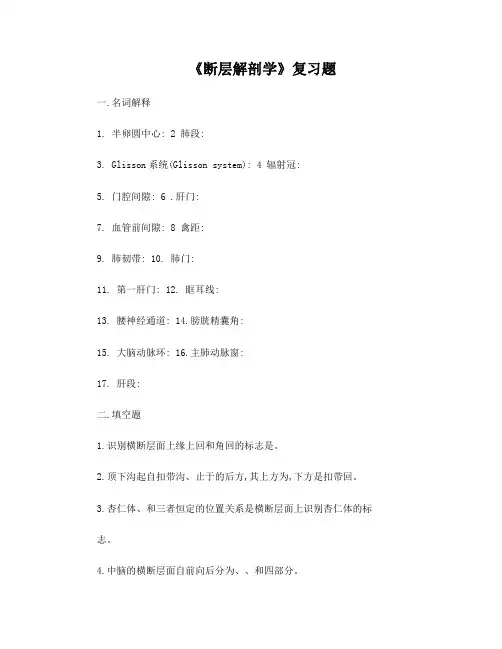 断层解剖学试题