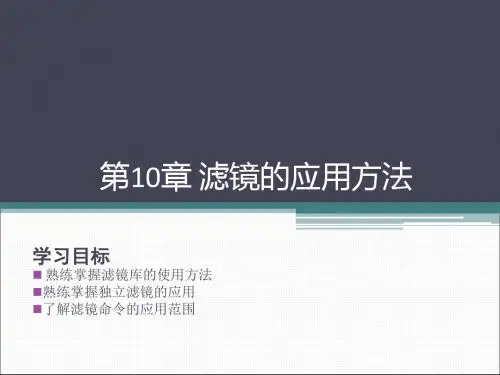 10 滤镜的应用方法