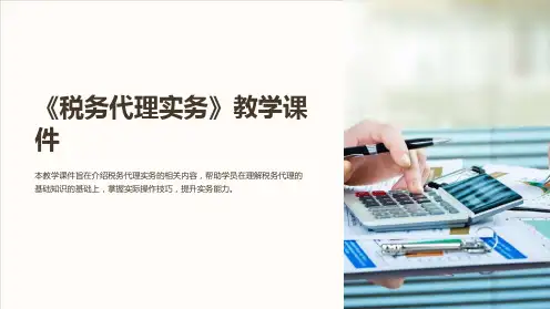 《税务代理实务》教学课件