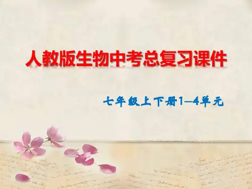 人教版生物中考总复习课件(七年级上下册1-4单元)共322张PPT
