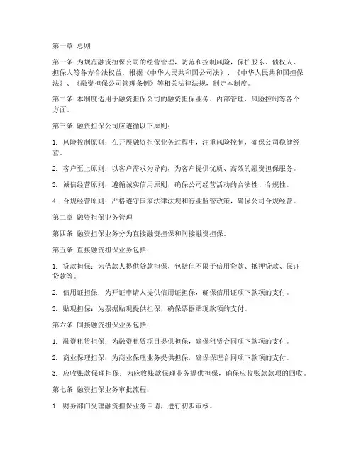 融资担保公司管理制度范文