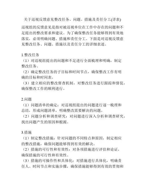 关于巡视反馈意见整改任务、问题、措施及责任分工(详表)