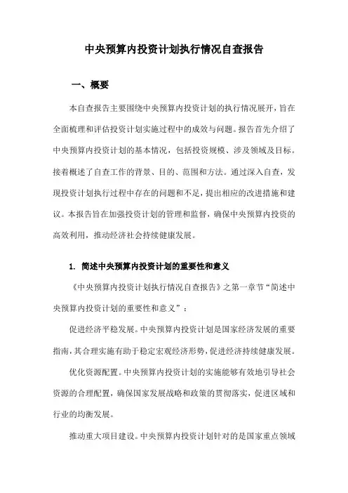 中央预算内投资计划执行情况自查报告