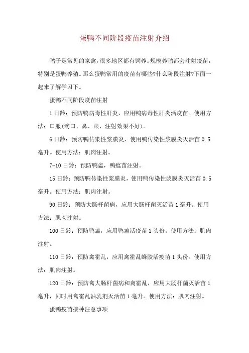 蛋鸭不同阶段疫苗注射介绍