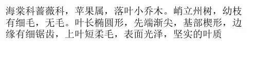 海棠的生长习性和养殖方法ppt课件