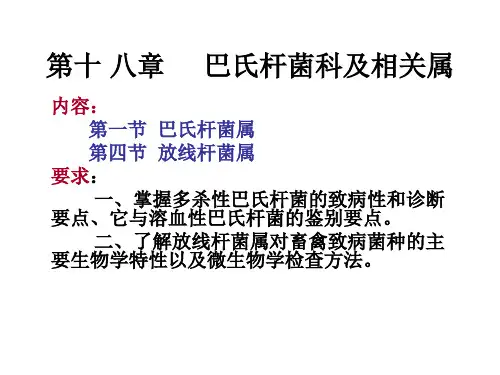 巴氏杆菌