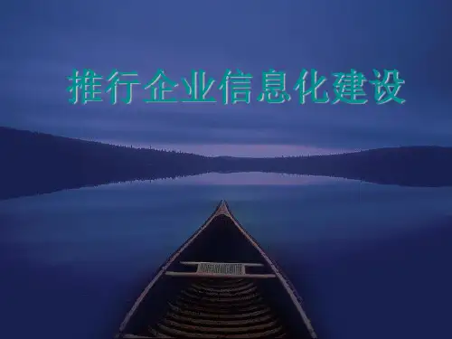 推行企业信息化建设ppt课件