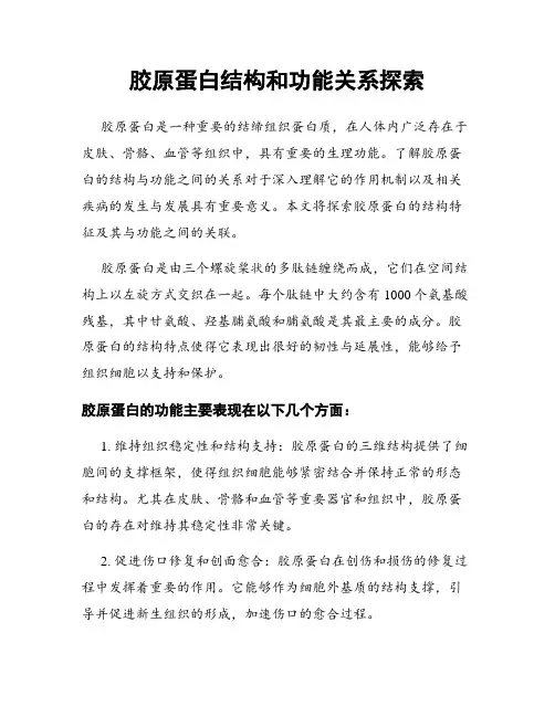 胶原蛋白结构和功能关系探索