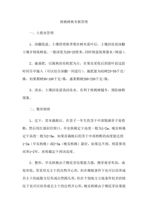 核桃树秋冬抓管理