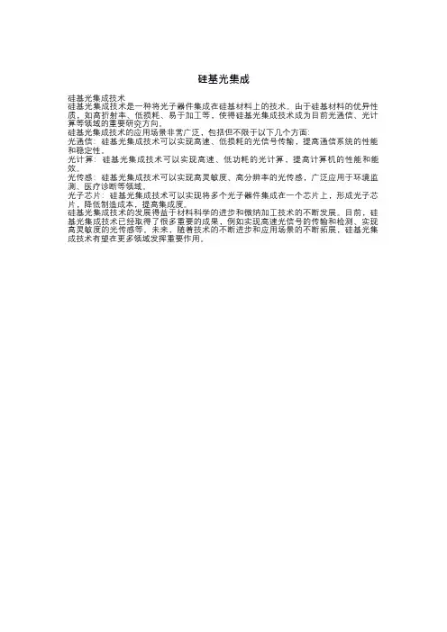 硅基光集成
