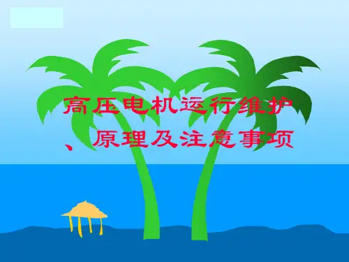 高压电动机运行维护、原理及注意事项