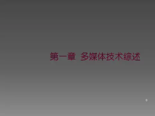 第一章多媒体系统基础知识ppt课件