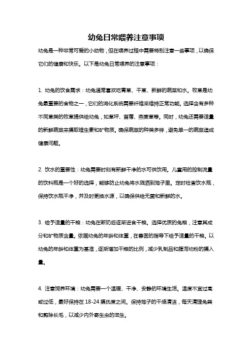 幼兔日常喂养注意事项