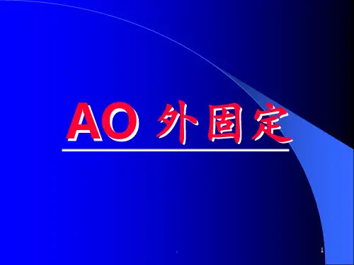 AO外固定PPT课件