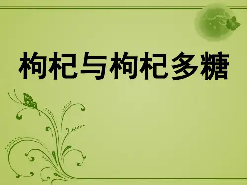 枸杞与枸杞多糖