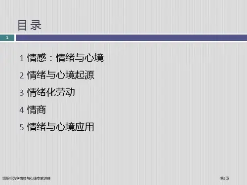 组织行为学情绪与心境专家讲座