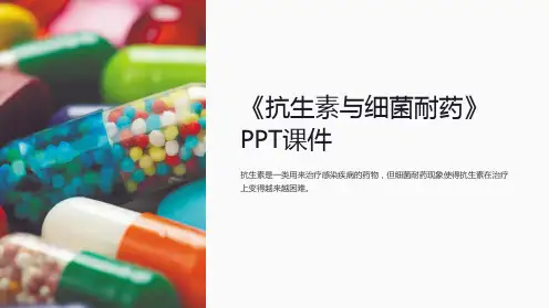 《抗生素与细菌耐药》课件