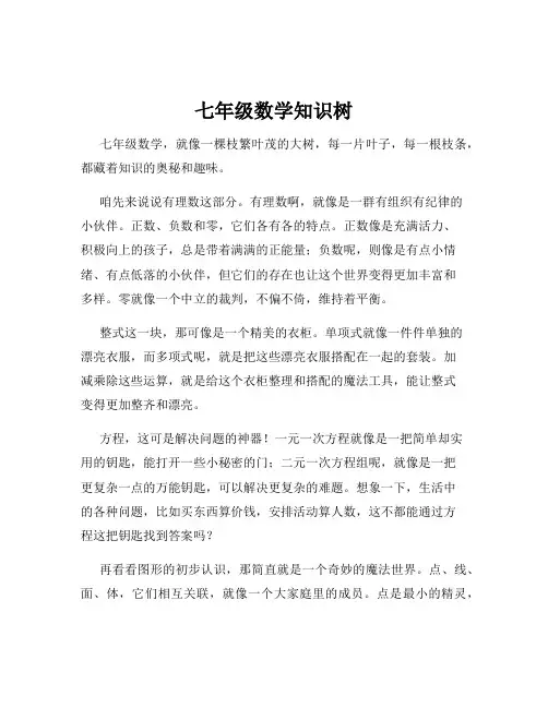 七年级数学知识树