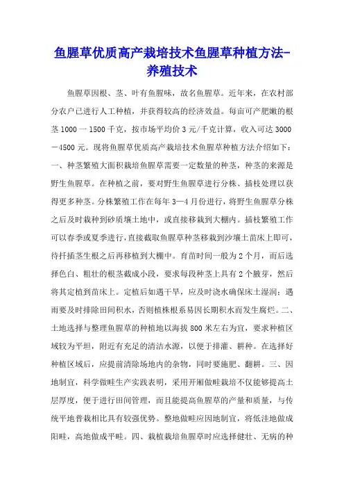 鱼腥草优质高产栽培技术 鱼腥草种植方法 - 养殖技术
