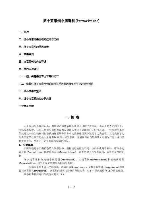 第15章  细小病毒科(Parvoviridae)