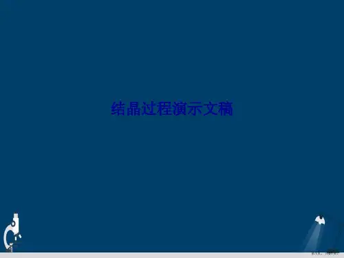 结晶过程演示文稿