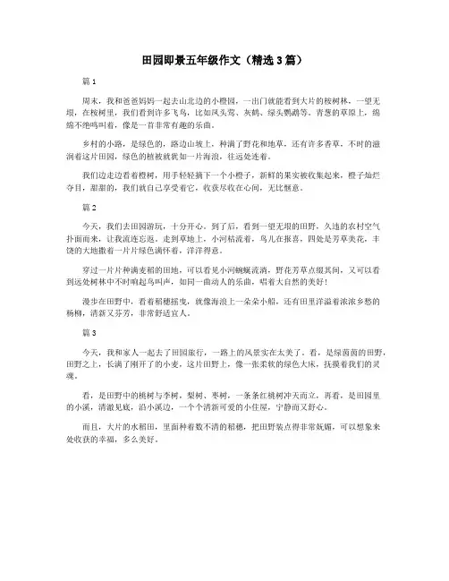 田园即景五年级作文(精选3篇)
