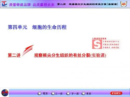 第二讲  观察根尖分生组织的有丝分裂